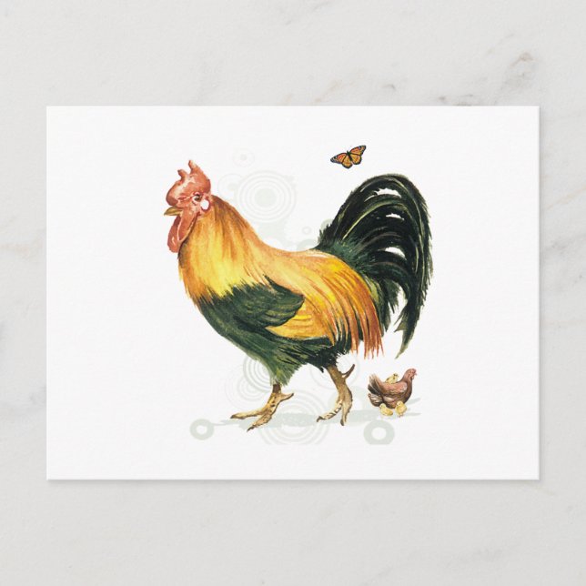 Carte Postale Fière coq avec poules et poulets. (Devant)