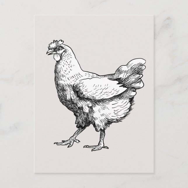 Carte Postale Fière petite poule ! (Devant)
