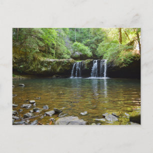 Carte postale Fiery Gizzard Trail Tennessee