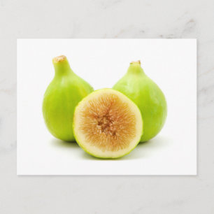 Carte Postale figuier au miel italien