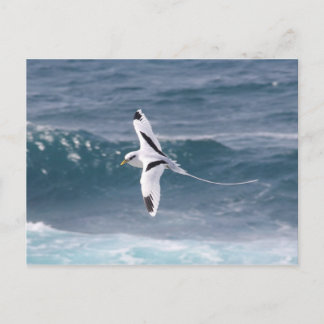 Carte Postale File d'attente Paille-en