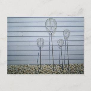 Carte Postale Filets d'épuration