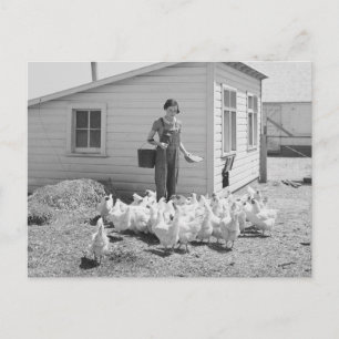Carte Postale Fille de ferme nourrissant des poulets, 1936
