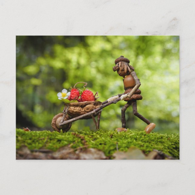 Carte Postale Fille elf d'Acorn portant des fraises (Devant)