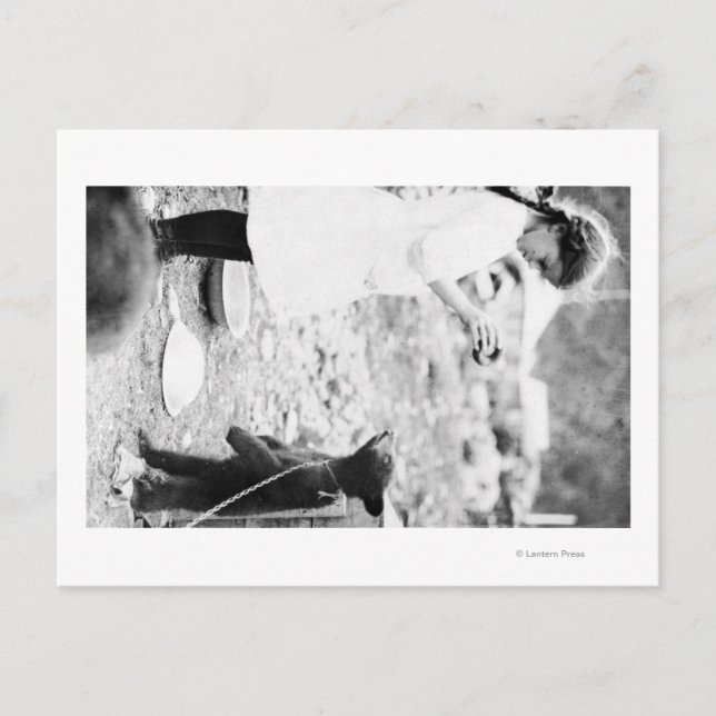 Carte Postale Fille nourricière Ours Cub à l'eau (Devant)