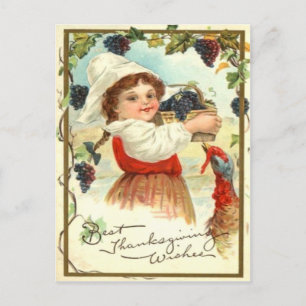 Carte Postale Fille puritaine cueillant des raisins