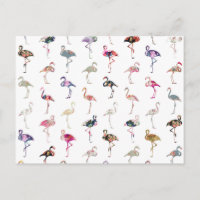 Fille Whimsical Retro Flamants roses Floral Motif