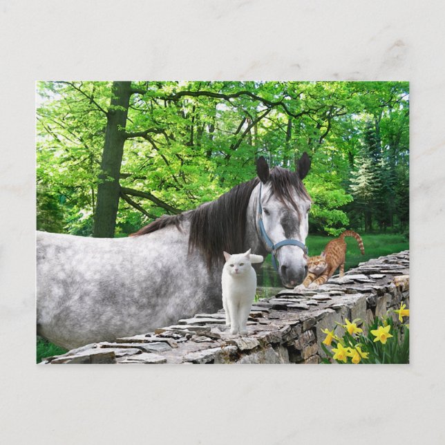 Carte postale "Filles amies" (Devant)
