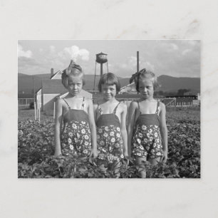 Carte Postale Filles de la ferme, 1939