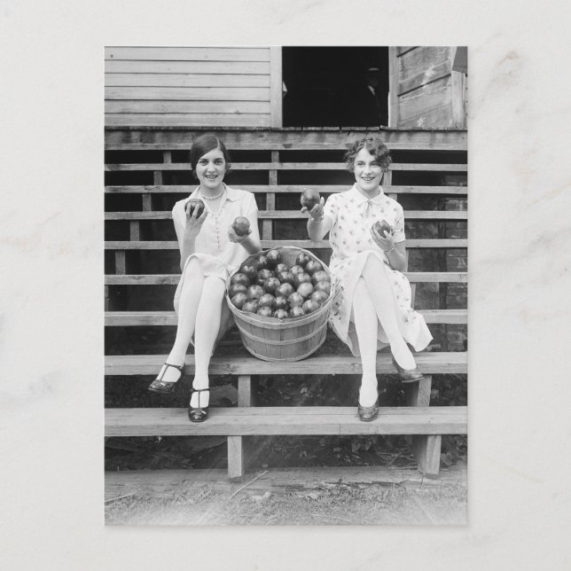 Carte Postale Filles de récolte de pommes, 1927 (Devant)