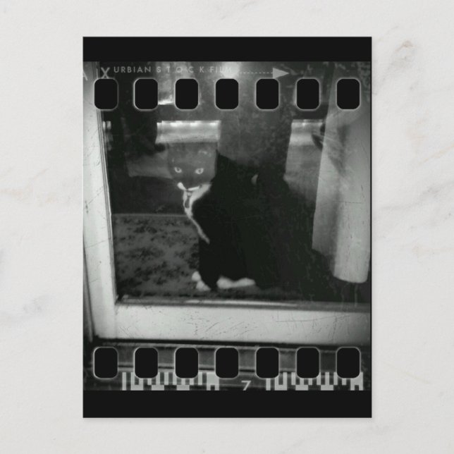 Carte Postale Film Strip Lucy (Devant)