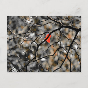 Carte Postale Fin automne