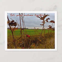Carte Postale Fin d'automne maussade : cynorhodons et champ vert
