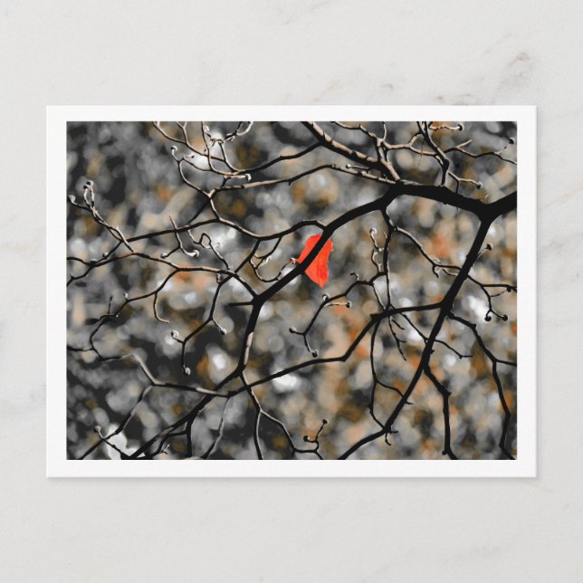 Carte Postale Fin de l'automne (Devant)