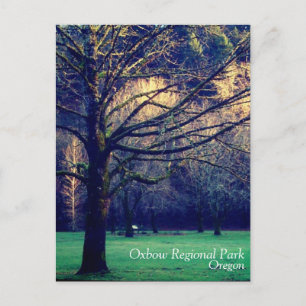 Carte Postale Fin de l'automne au parc régional Oxbow, Oregon