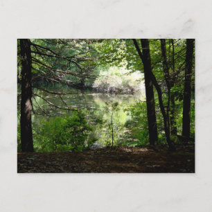 Carte Postale Fin de l'été à Walden Pond