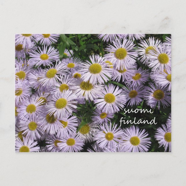Carte Postale Finlande en Fleurs, 2e d'une série (Devant)