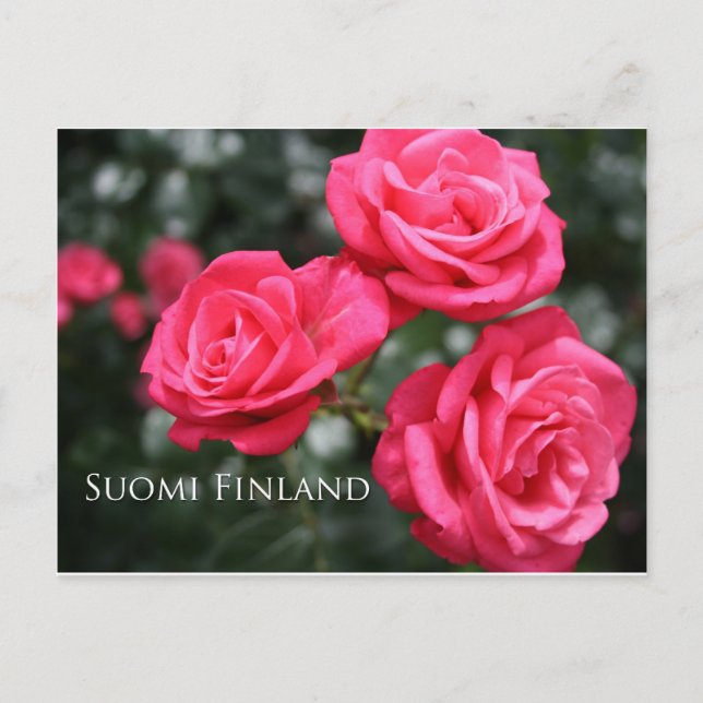Carte Postale Finlande en Fleurs, 3e d'une série (Devant)
