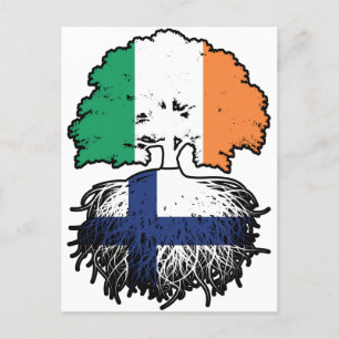 Carte Postale Finlande Finlande Irlande Irlande Drapeau des raci
