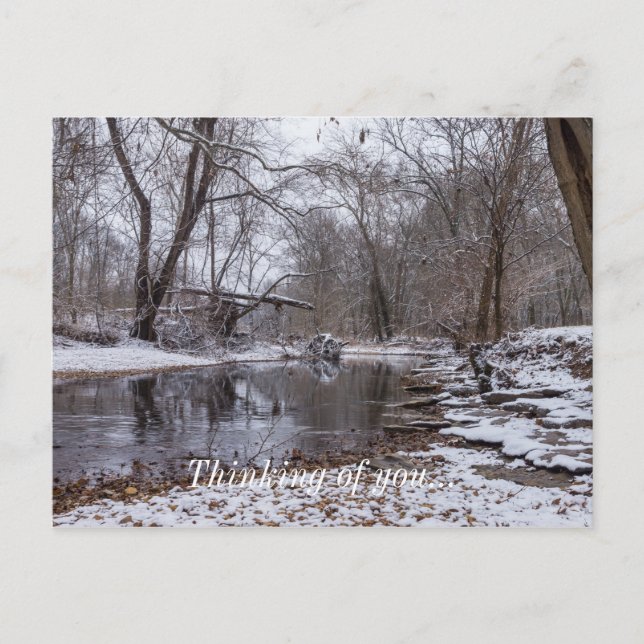 Carte Postale Finley Hiver Neige Pensées pour toi (Devant)