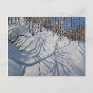 Carte Postale Fir Tree Shadows Tignes 2009