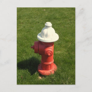 Carte postale Fire Hydrant !
