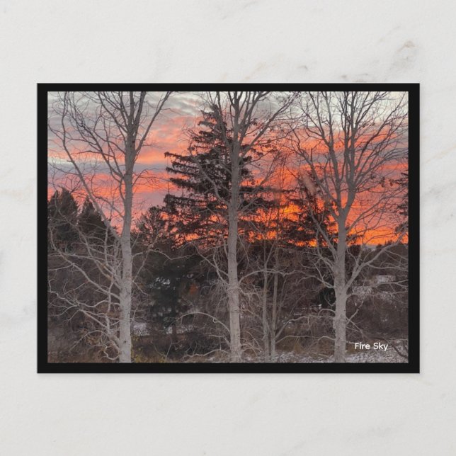 Carte Postale Fire Sky Through Winter Trees (Devant)