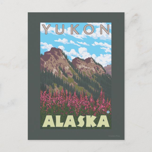 Carte Postale Fireweed & Mountains - Yukon, Alaska (Devant)
