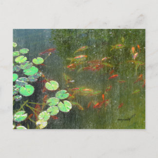 Carte postale Fish Pond