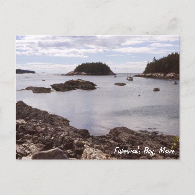 Carte Postale Fisherman's Bay Maine (Devant)