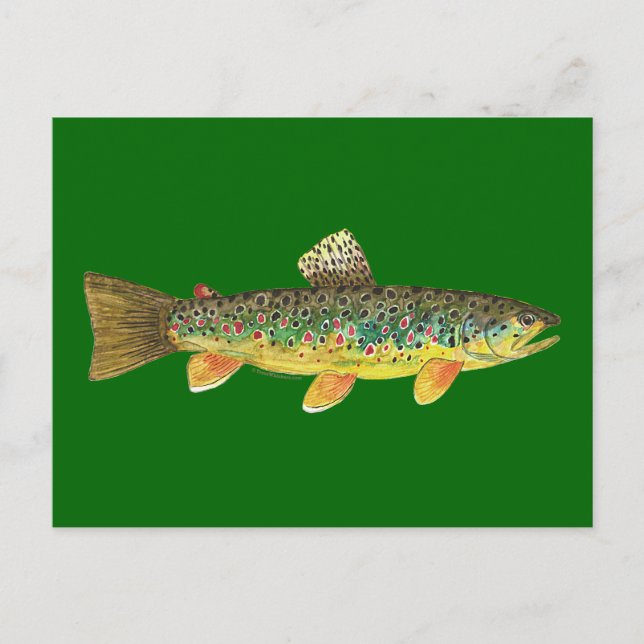 Carte Postale Fishing (Devant)