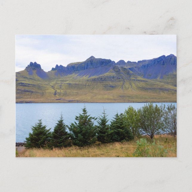 Carte Postale fjord de Stodvarfjordur, Islande (Devant)