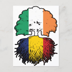 Carte Postale Flag de l'Ireland Tree Roots