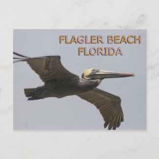 Carte postale Flagler Beach Pelican