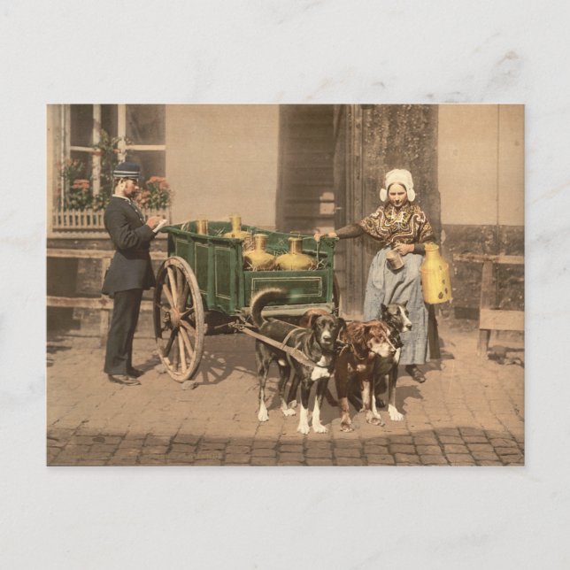 Carte Postale Flamande vintage (Devant)