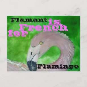 Carte postale Flamant rose