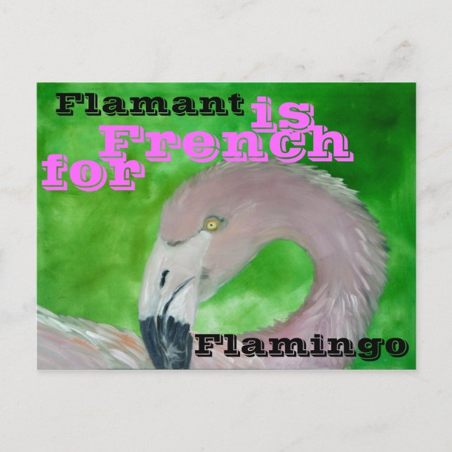 Carte postale Flamant rose (Devant)