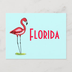 Carte postale Flamant rose