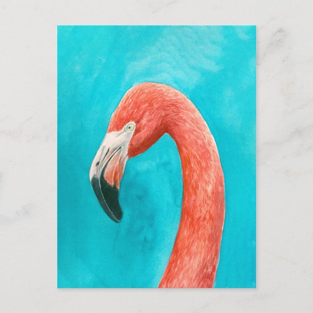 Carte Postale Flamant rose (Devant)