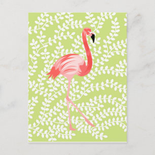 Carte Postale Flamant rose