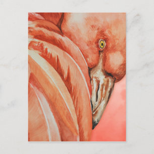 Carte Postale Flamant rose