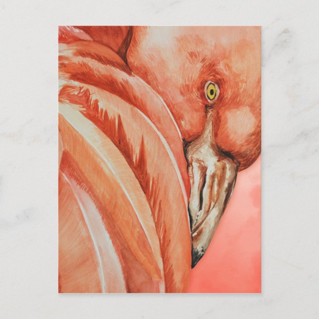 Carte Postale Flamant rose (Devant)