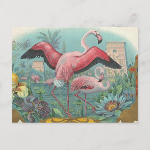 Carte Postale Flamant rose