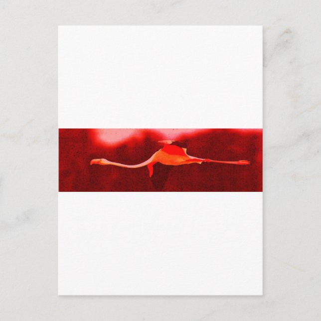 Carte Postale Flamant rose Bird (Devant)