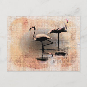 Carte Postale Flamant rose Dreams