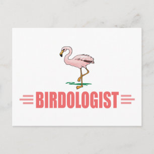 Carte Postale Flamant rose drôle