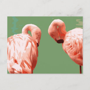 Carte Postale Flamant rose écarlate
