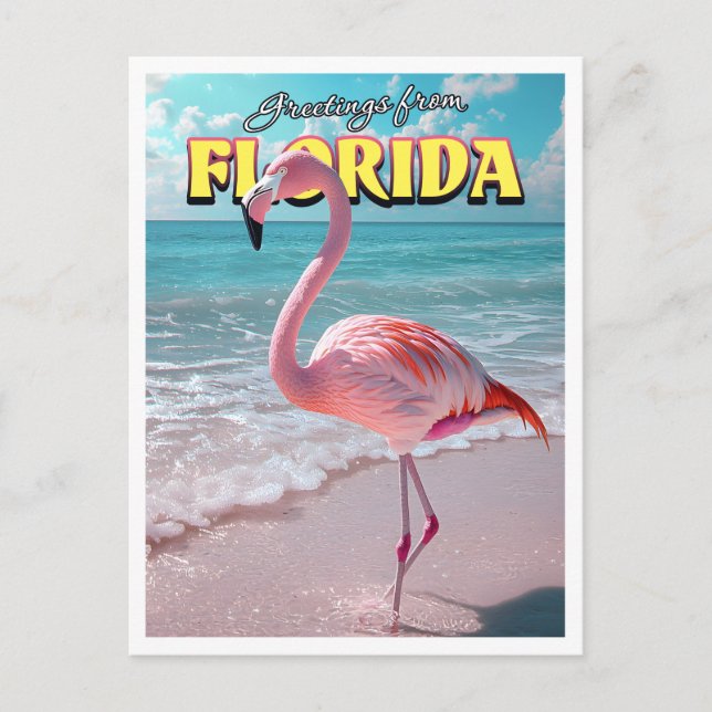 Carte postale Flamant rose Florida (Devant)