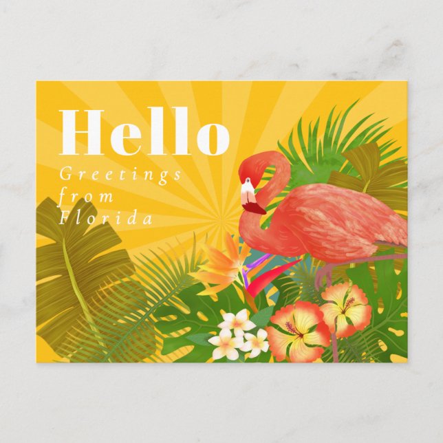 Carte Postale Flamant rose Jaune Orange Bonjour (Devant)