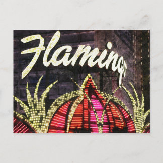 Carte postale Flamant rose Las Vegas